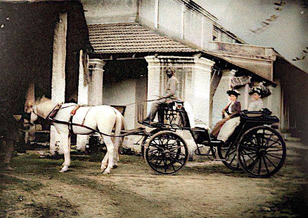 RIMG0031-Colorized.615